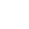icon instagram